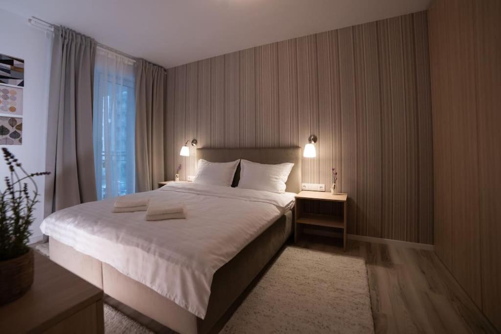 Carpe Diem Travel Timisoara Exterior photo