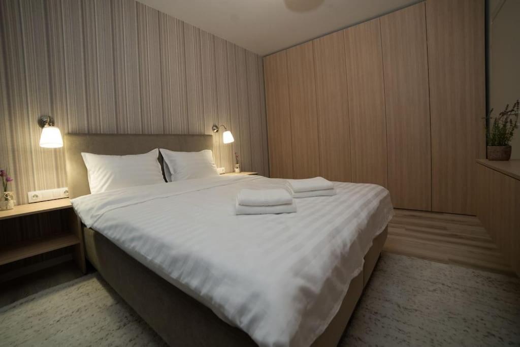 Carpe Diem Travel Timisoara Exterior photo